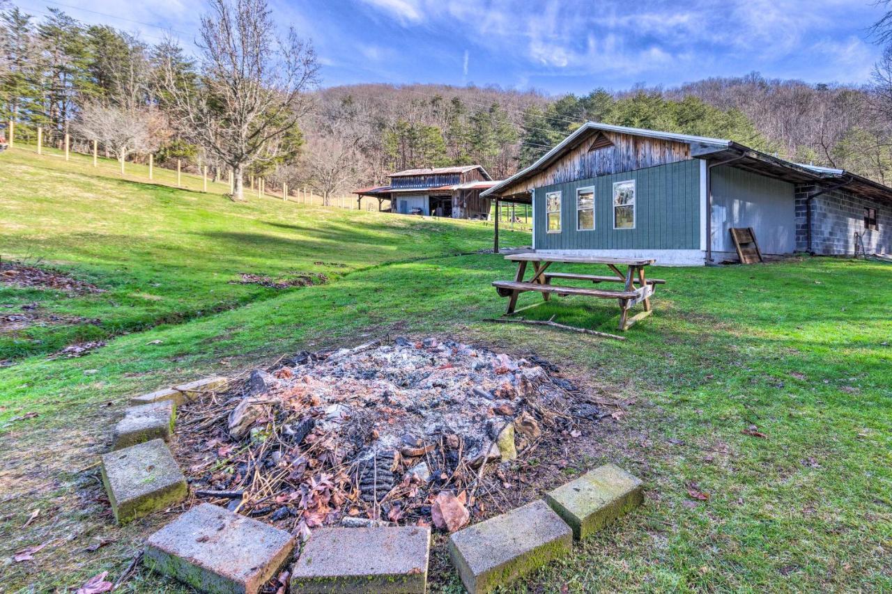 Pet-Friendly Blue Ridge, Cherokee Forest Retreat! 格林维尔 外观 照片